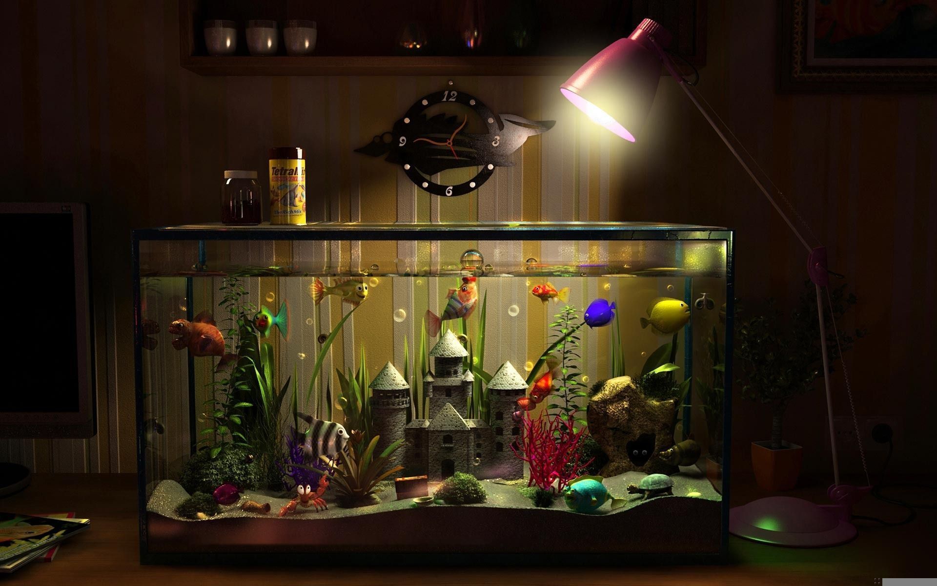 Meilleur poisson d'aquarium pour un débutant en 2020