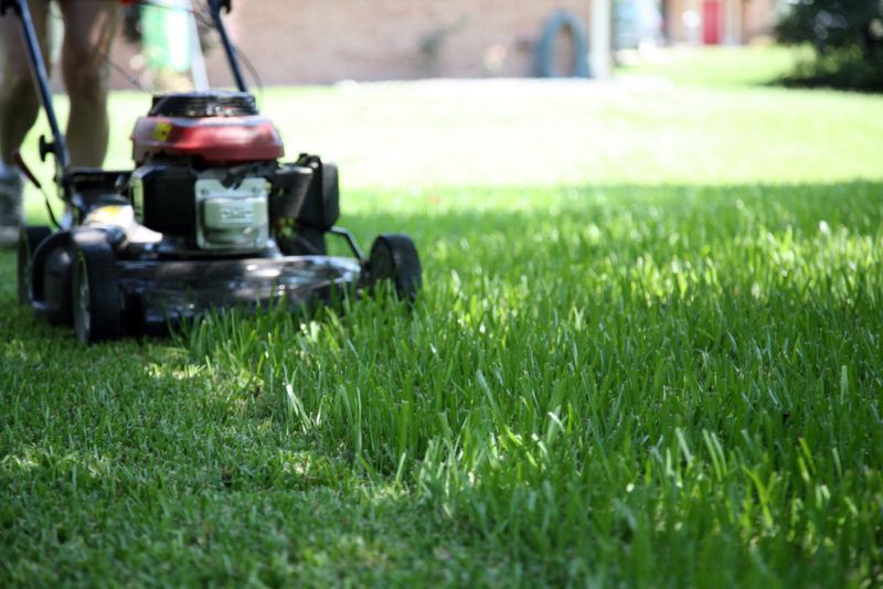 Classement des meilleures tondeuses à gazon électriques et à essence en 2019