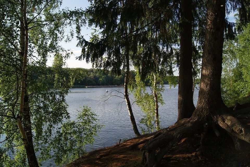 Les meilleures plages de la région de Moscou en 2020