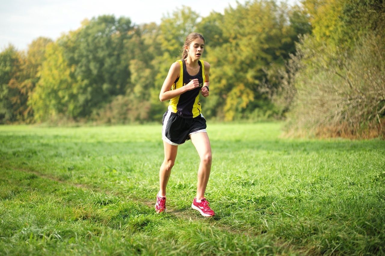 Les meilleurs stades et parcs de course libre à Saint-Pétersbourg 2020