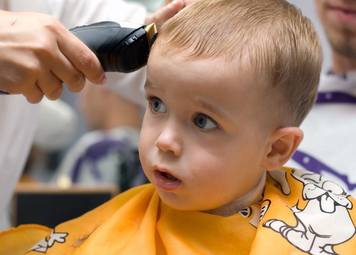 Meilleures tondeuses pour tondeuses à cheveux en 2020