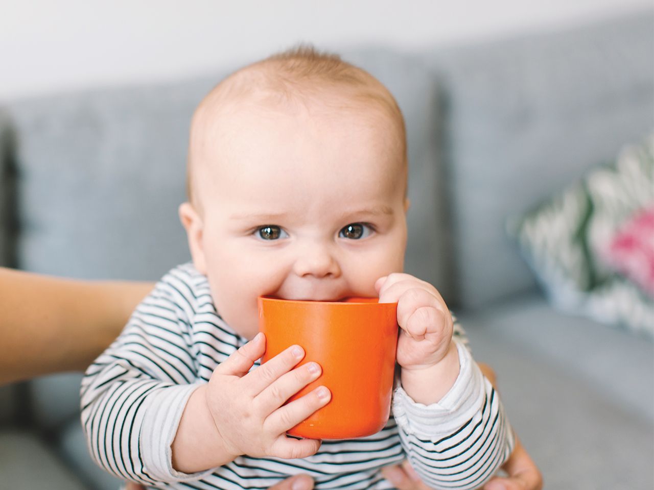 Examen des meilleurs gobelets pour bébés en 2020 - avantages, inconvénients et prix