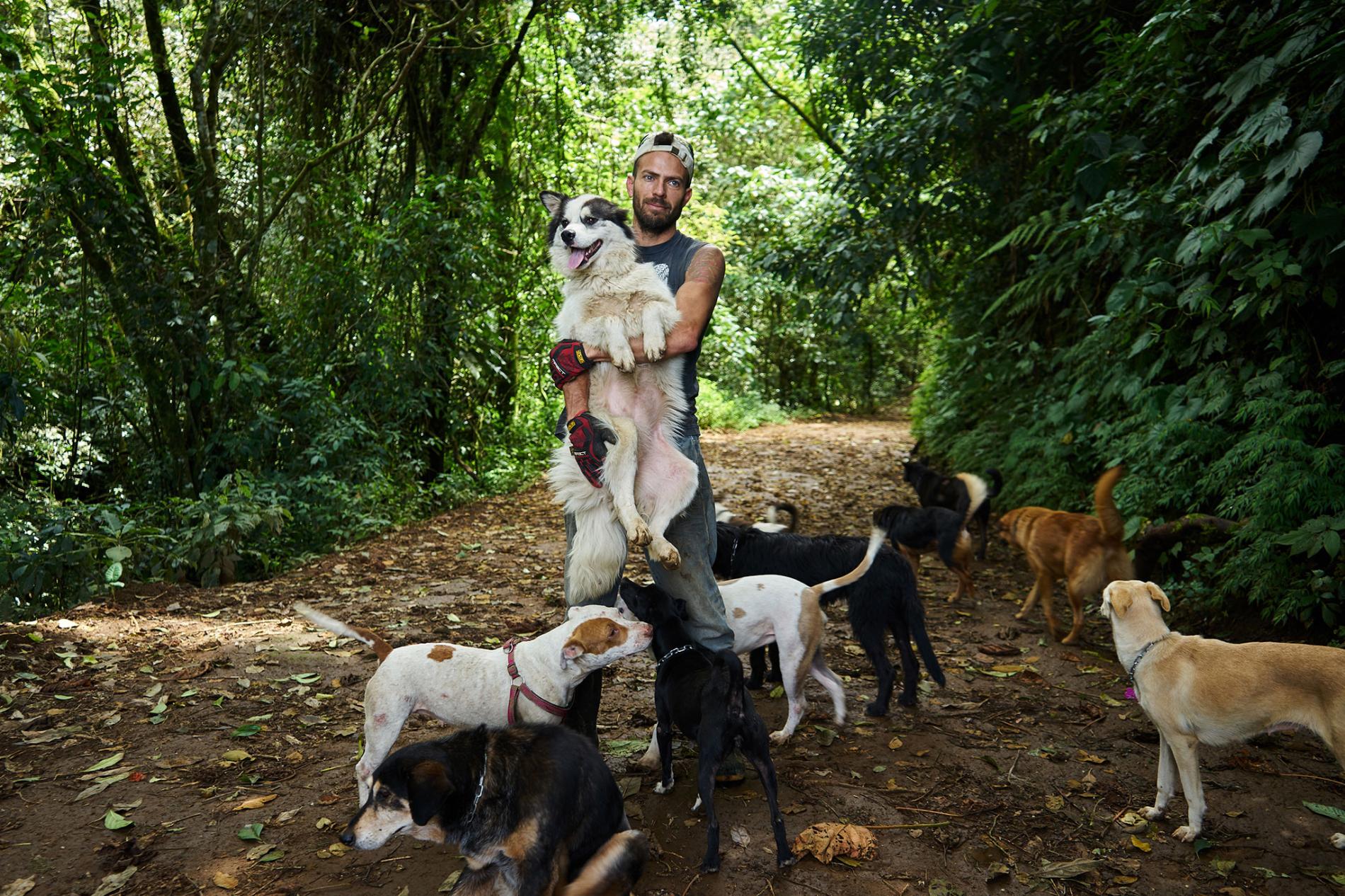 Les meilleurs chenils pour chiens à Moscou en 2020