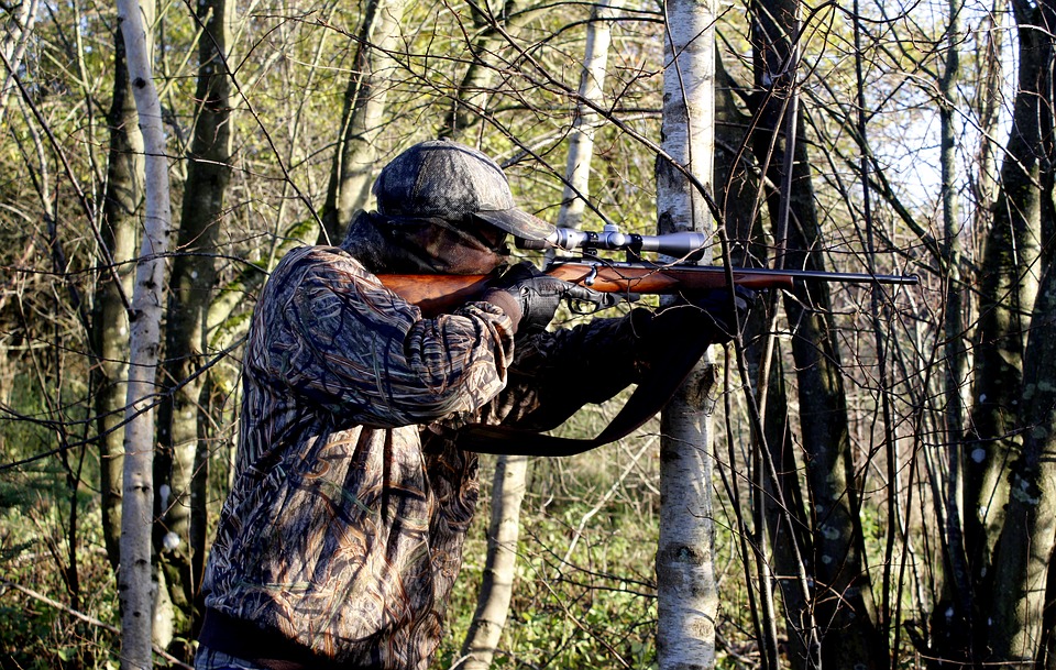 Classement des meilleures carabines à air comprimé pour la chasse sans permis pour 2020