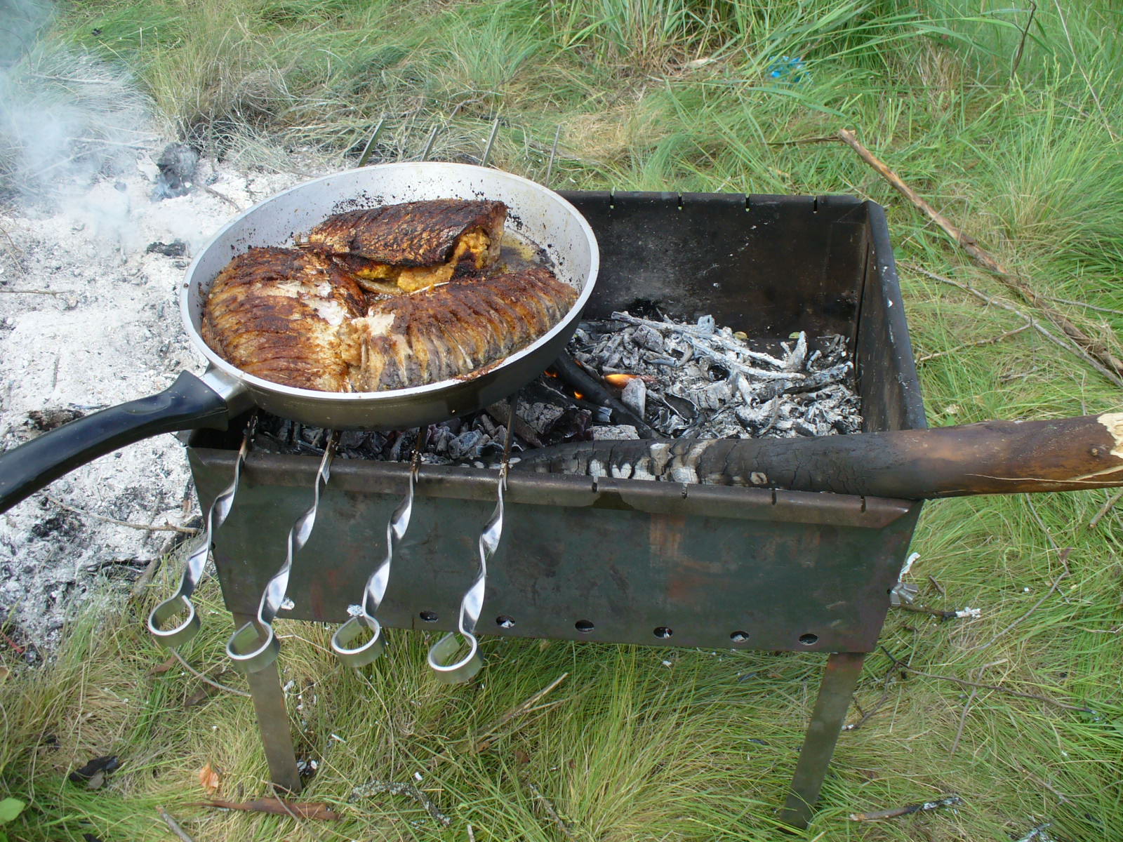 Classement des meilleurs barbecues pour chalets d'été et randonnées pour 2020