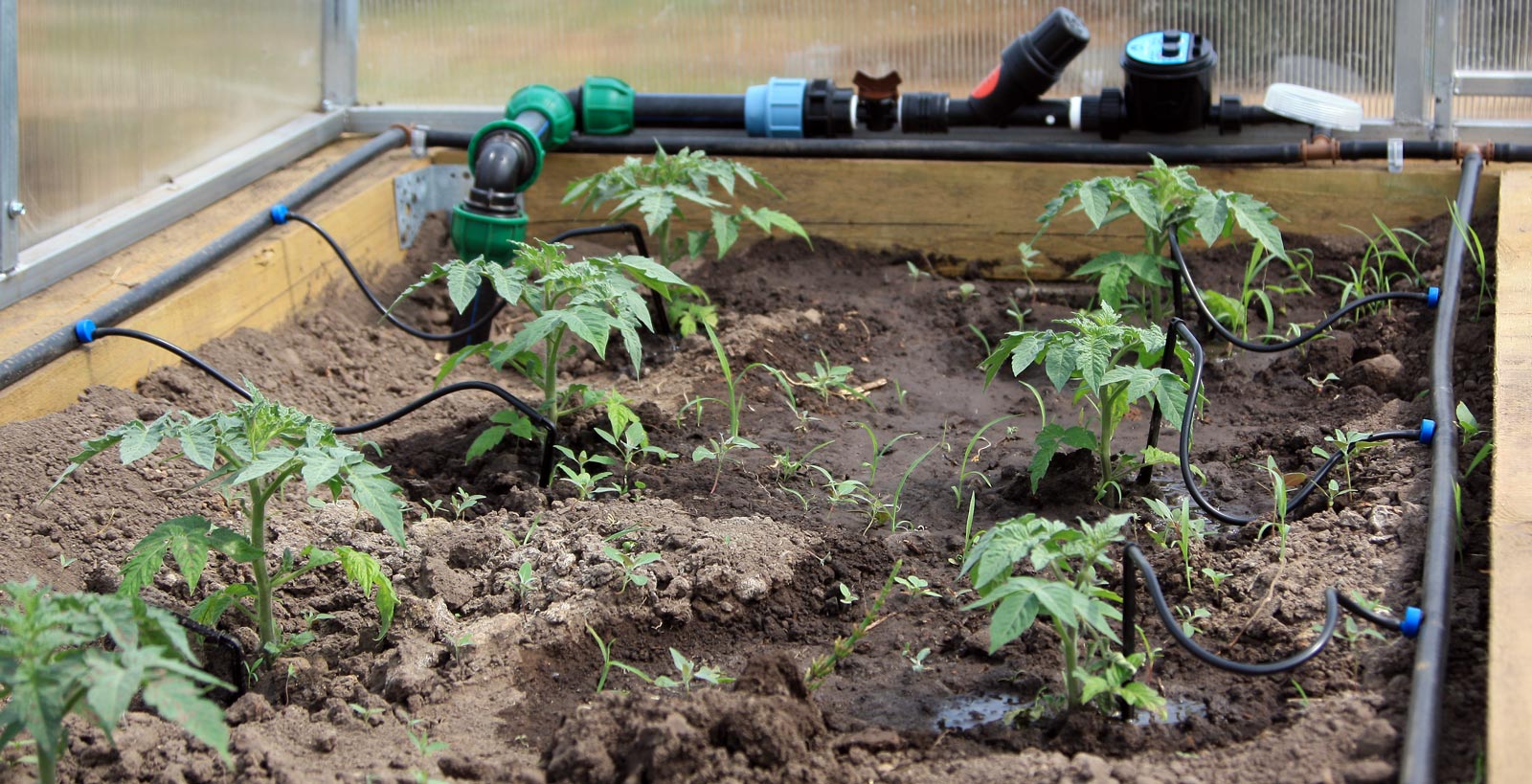 Évaluation des meilleurs systèmes d'irrigation goutte à goutte pour 2020