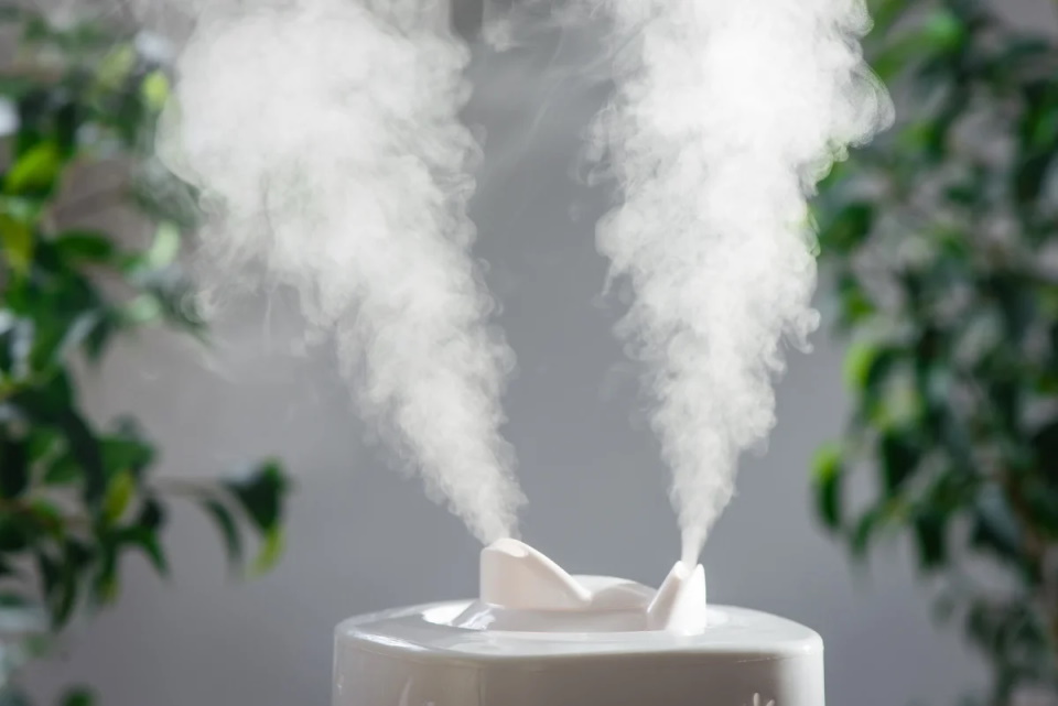 Meilleurs humidificateurs pour la maison pour 2020